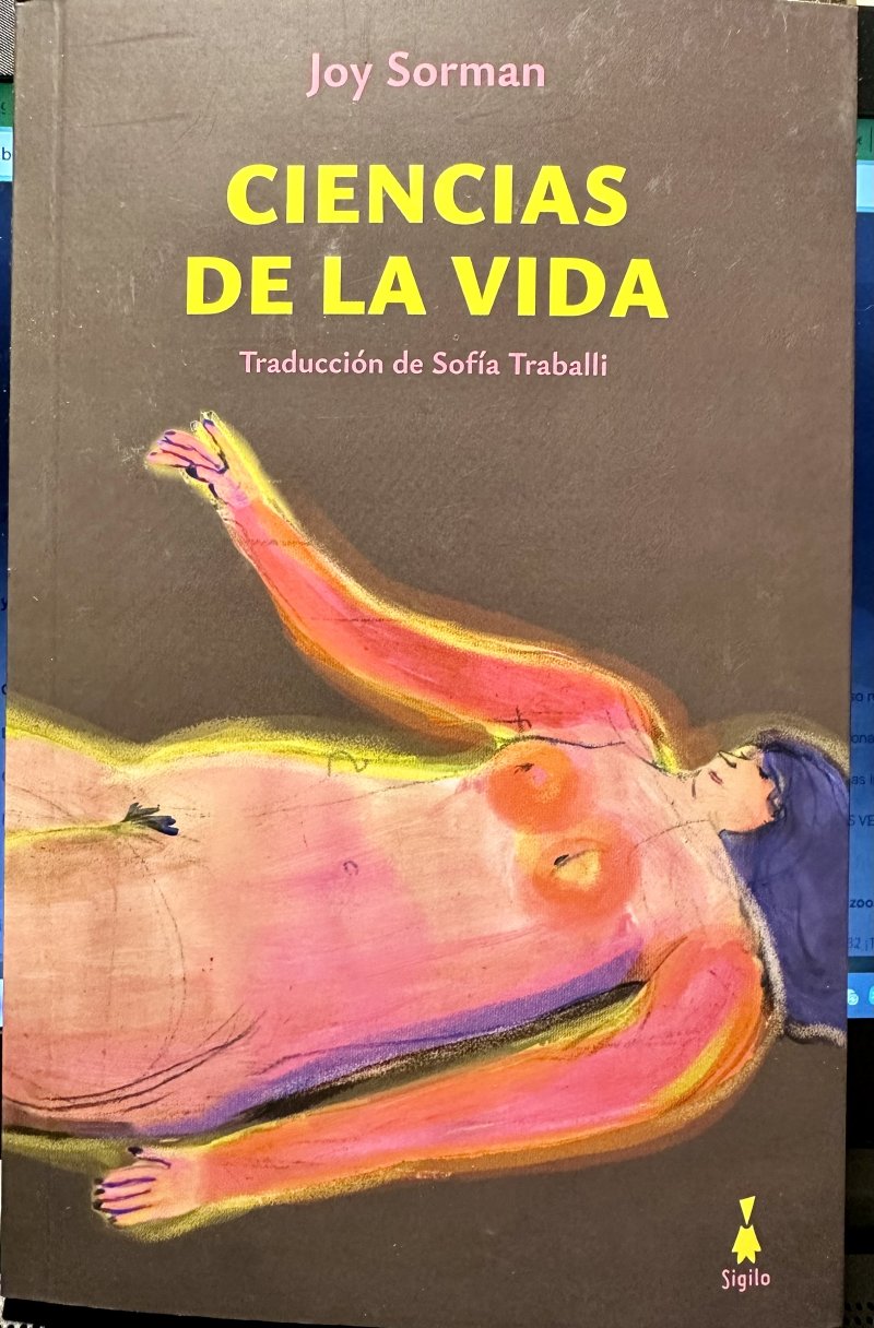 fotosorman-sofia-traballi-800x1216-q85